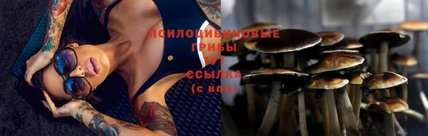 синтетический гашиш Гусь-Хрустальный