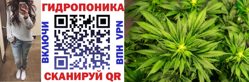 МАРИХУАНА ГИДРОПОН  гидра маркетплейс  Емва  магазин продажи  
